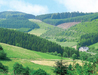 Hotel Landgasthof Rüppel
Ort: Bestwig
ab 32 €